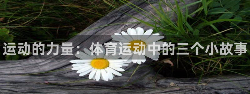 oety欧亿体育官网下载招商电话是多少号码：运动的力