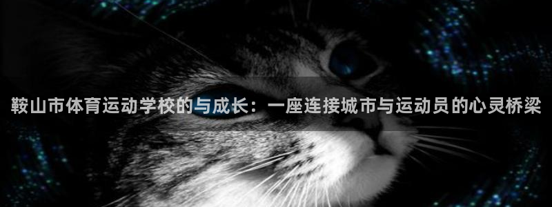 欧亿体育官方正版app娱乐40996：鞍山市体育运动