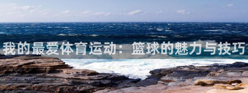 oety欧亿体育官网下载是干嘛的公司：我的最爱体育运
