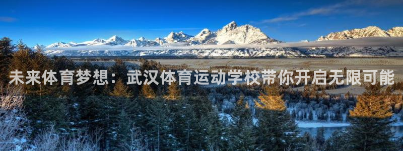 注册欧亿体育官方正版app：未来体育梦想：武汉体育运
