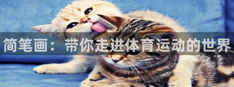 oety欧亿体育官网下载软件：简笔画：带你走进体育运