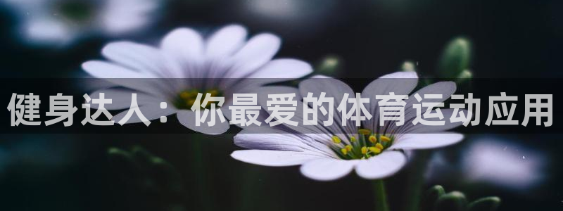 oety欧亿体育官网下载平台是正规平台吗知乎：健身达