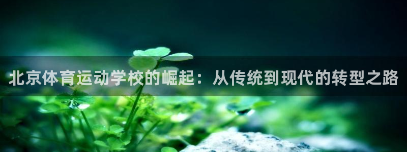 oety欧亿体育官网下载招商电话地址查询：北京体育运