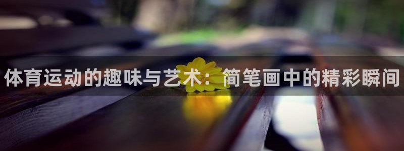 oety欧亿体育官网下载招商电话号码查询是多少：体育运动的趣