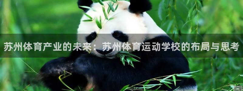 oety欧亿体育官网下载招商电话地址：苏州体育产业的未来：苏