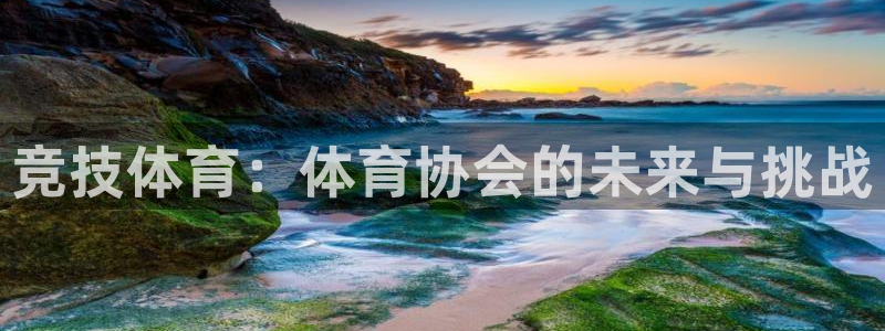 欧亿体育官方正版app开户：竞技体育：体育协会的未来与挑战