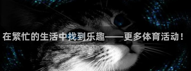 oety欧亿体育官网下载招商电话号码是多少：在繁忙的