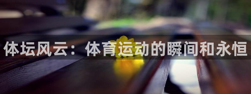 oety欧亿体育官网下载平台假的吗是真的吗吗