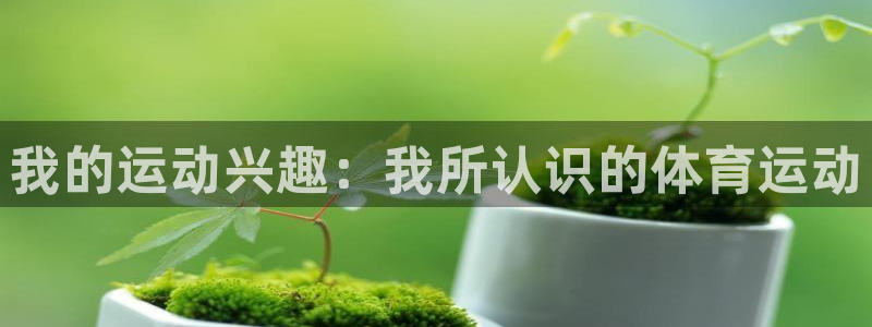 oety欧亿体育官网下载官方客服电话