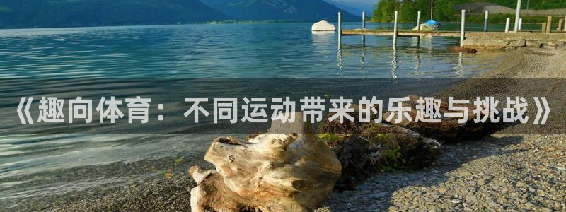 欧亿体育官方正版app新能源：《趣向体育：不同运动带来的乐趣