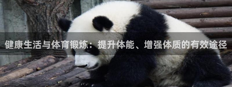 oety欧亿体育官网下载招商电话号码查询：健康生活与体育锻炼