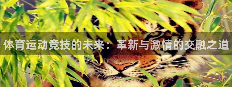 欧亿体育官方正版app娱乐首页官网下载：体育运动竞技的未来：